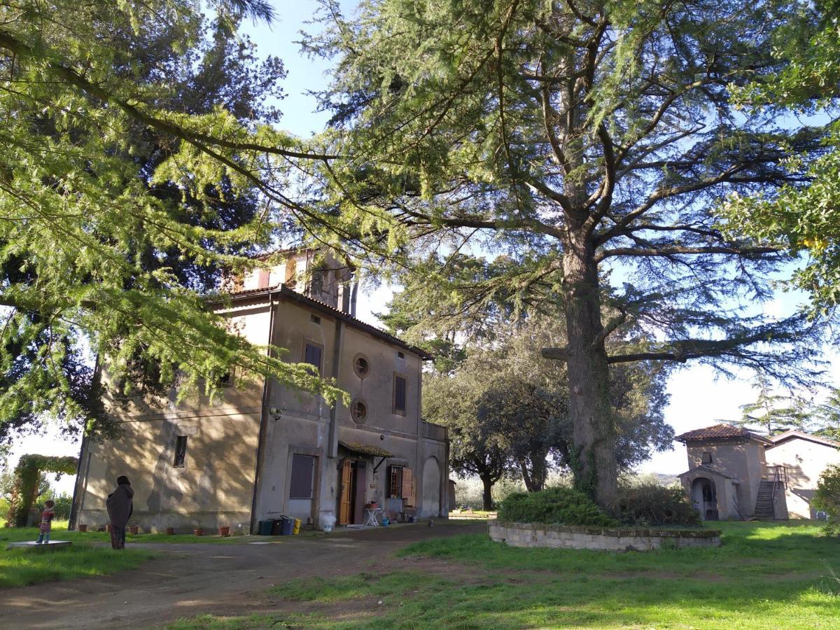 Agriturismo La Villetta San Lorenzo Nuovo Zewnętrze zdjęcie