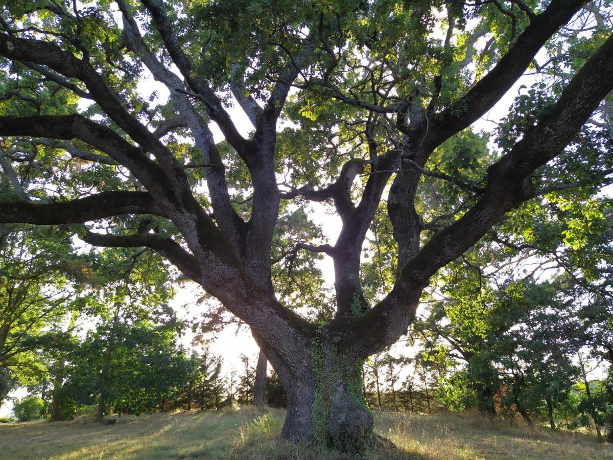 Agriturismo La Villetta San Lorenzo Nuovo Zewnętrze zdjęcie