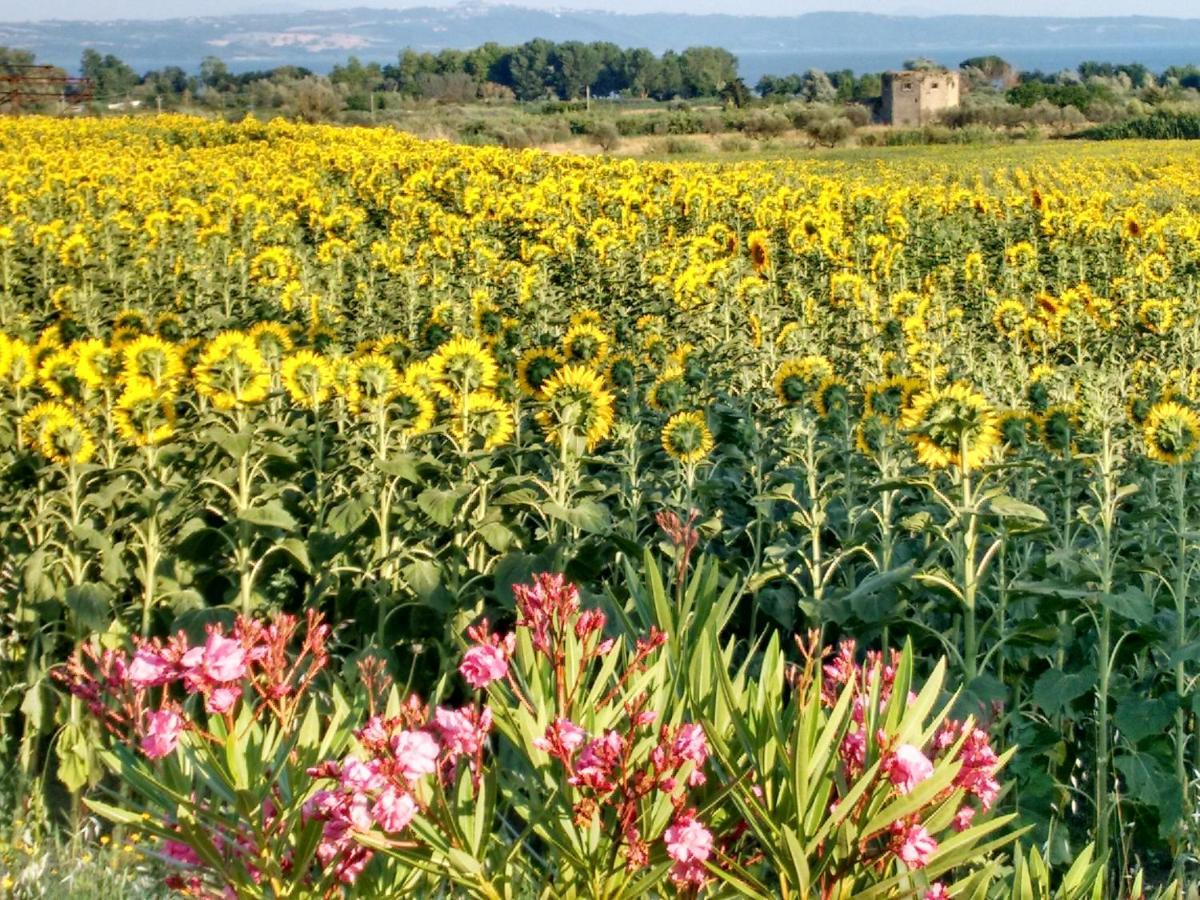 Agriturismo La Villetta San Lorenzo Nuovo Zewnętrze zdjęcie