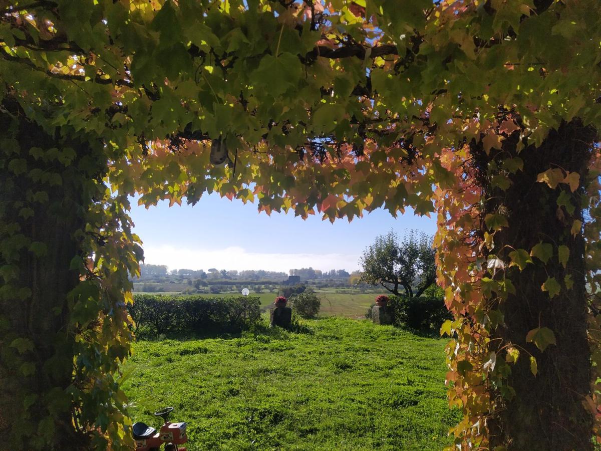 Agriturismo La Villetta San Lorenzo Nuovo Zewnętrze zdjęcie