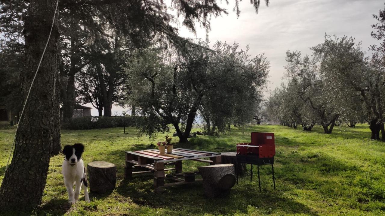 Agriturismo La Villetta San Lorenzo Nuovo Zewnętrze zdjęcie
