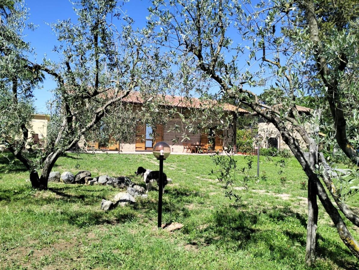 Agriturismo La Villetta San Lorenzo Nuovo Zewnętrze zdjęcie