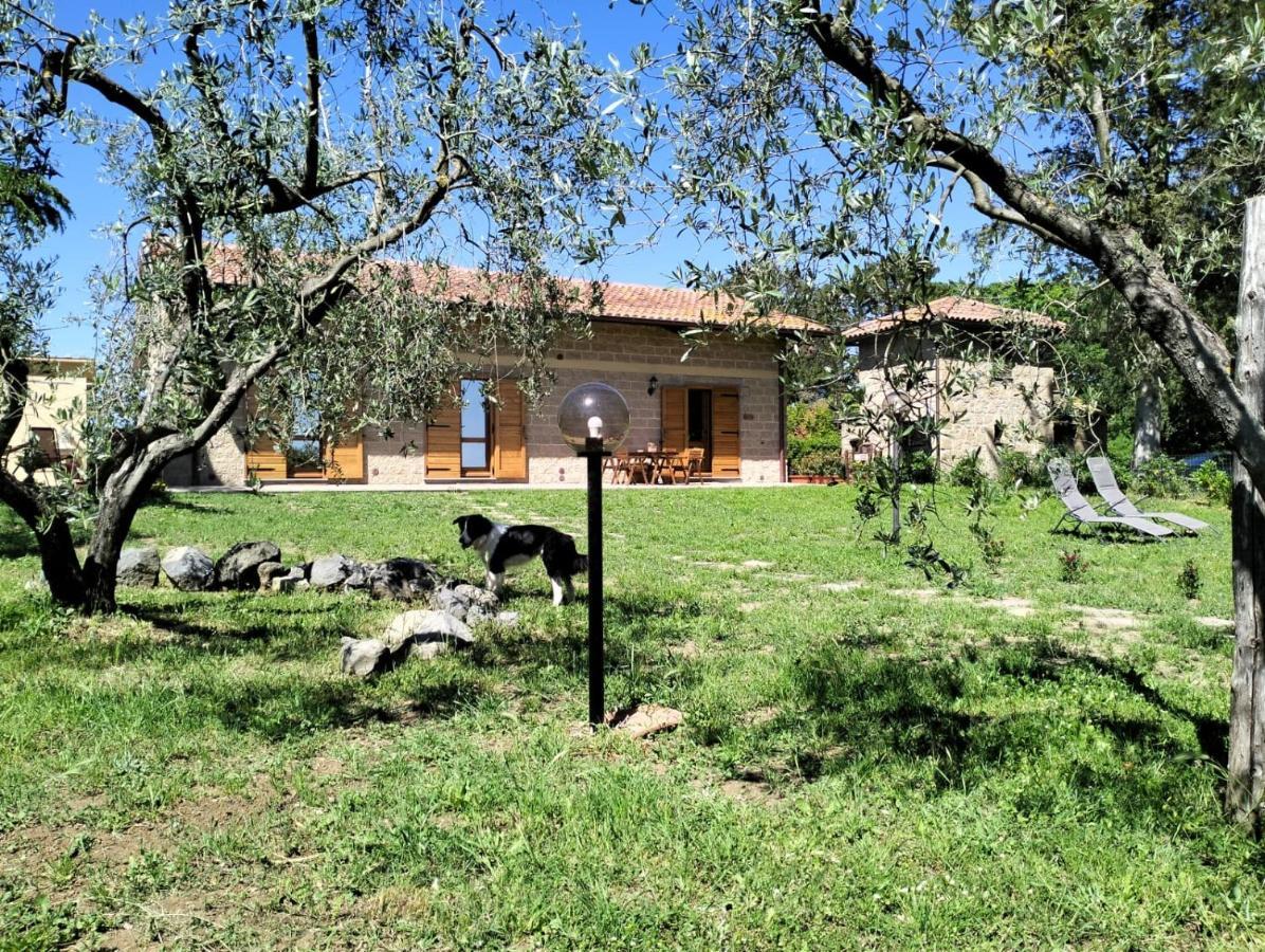 Agriturismo La Villetta San Lorenzo Nuovo Zewnętrze zdjęcie